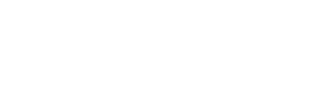 Air Asset Management Logo